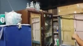 Wild musk deer caught after hiding in family’s bedroom