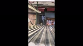 US: BLM Protesters Gather At NYC Restaurant After Brawl Over Vaccine Proof 2