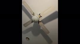 Australia: M5.8 Earthquake Hits Near Mansfield, Victoria 4