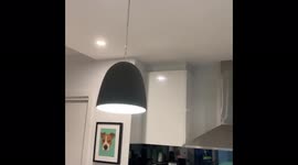 Australia: M5.8 Earthquake Hits Near Mansfield, Victoria 3