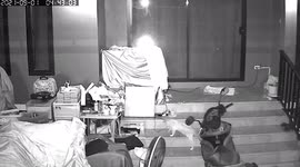 Cat flies in fright after trying to play with sanitizer