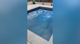 Australia earthquake shakes pool in Wangaratta home