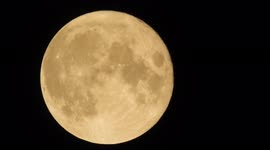 Stunning Harvest Moon lights up skies above Japanese capital