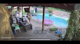US dad leaps into action as daughter's 'bug' turns out to be MASSIVE TARANTULA