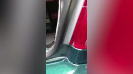 Driver finds snake hiding in car light in Costa Rica