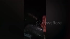 Brave local saves dog drowning in polluted river in the Philippines