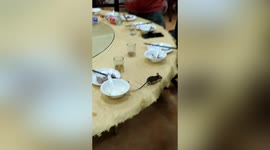 Diners scream as mouse runs across table at Chinese restaurant