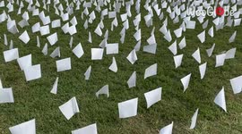 '660,000+ white flags planted in honor of COVID-19 victims in the US
'