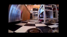 This is how my blind pug finds his food