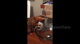 Pensez à vous hydrater!!!