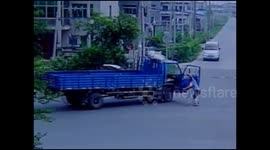 Passenger falls out of truck on sharp turn