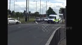 Family of swans holds up traffic in Liverpool, UK