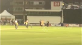 Streaker invades cricket pitch in Sussex, UK
