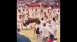 Man gored by bull at Pamplona festival