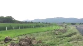 Volcan de Colima En Plena Erupcio