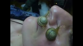 World hit! Snail slime of 100% natural skin rejuvenation !