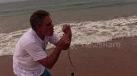 Man lures giant beach worm out of sand