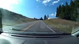 Hitting a Deer in North Idaho