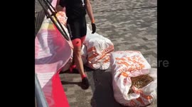 Cyclist's bike snaps in half in race crash