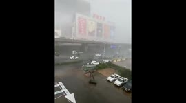 Basketball hoop blown by high winds into car in eastern China