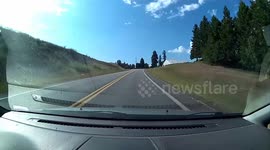 Hitting a Deer in North Idaho