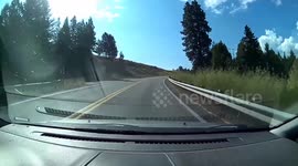 Car hits deer in Idaho