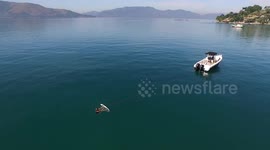 Wake Board in Angra dos Reis