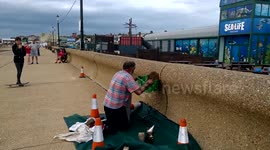 Man removes swarm of bees from UK promenade