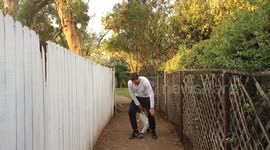 Dubstep Dad