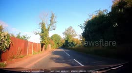 Old man pulls out in front of me at 40mph and have to slam on the brake to not crash.