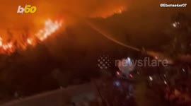 Butterfly Lands on Humanitarian Worker’s Hand, Begs for Water After Escaping Wildfire