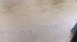 Spain: Torrential Rains Batters Lepe, Huelva, With Flood