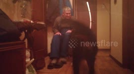 The dog hugs and has fun communicating with the owner, Minsk, Belarus