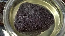 Floating stones get researched and displayed at museum in central India