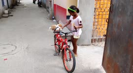 A funny tiny dog trying to move by Bycicle in Indian street