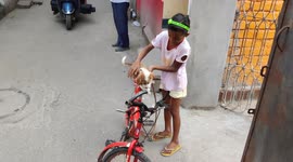 A tiny lovely dog affraid through a moter bike touch in indian street