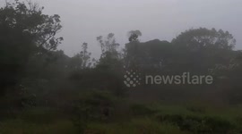 Several wildlife creatures spotted in National Park in Sri Lanka
