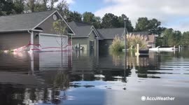 How to drive on wet leaves