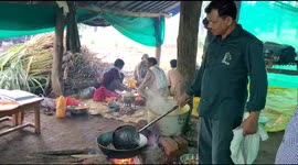 Watch - More Video-  Vacation week for 18 elephants of Kanha National Park , Elephants enjoying massage , fruits at rejuvenation camp