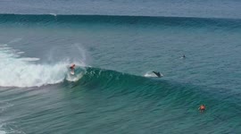 Surfing with dolphins: Magical moment man in Maldives rides waves as pod of dolphins breach nearby