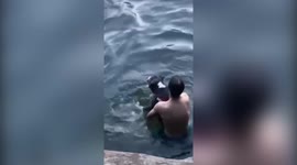 Hilarious moment dog throws tantrum when asked to stop swimming