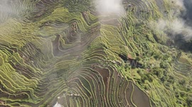 Watch this stunning drone footage of rice paddies in Guizhou, China!