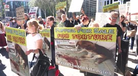 Free The MBR Beagles at Home Office, London, UK