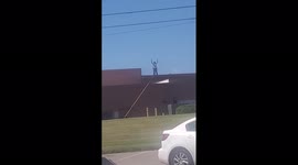 Collierville Kroger shooting: Watch video of man standing on roof