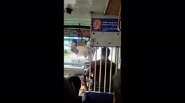 Bus driver praised for his cool actions after elephant SMASHES windscreen