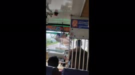 Bus driver praised for his cool actions after elephant SMASHES windscreen