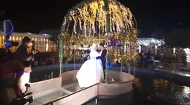 First Dance Canarian Cage Will Make Leave You In Aww
