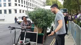 Travelling bush: last day of Chelsea Flower Show sees visitors hoover up bargains.