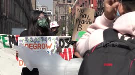 Fridays For Future Strike In Mexico City, Mexico