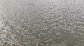 water pond outdoor flowing backgrounds beautiful river 4k footage